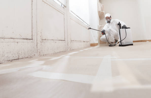 24/7 Emergency Black Mold Removal experts in Hopewell, PA